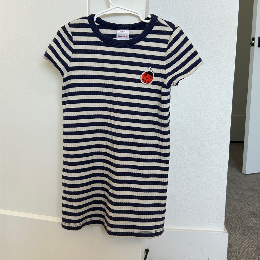 Hanna Anderson Striped Navy and White Dress with Ladybug Patch